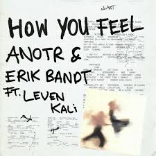 ANOTR & Erik Bandt featuring Leven Kali — How You Feel cover artwork