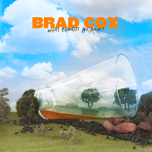 Brad Cox What Brought You Back cover artwork