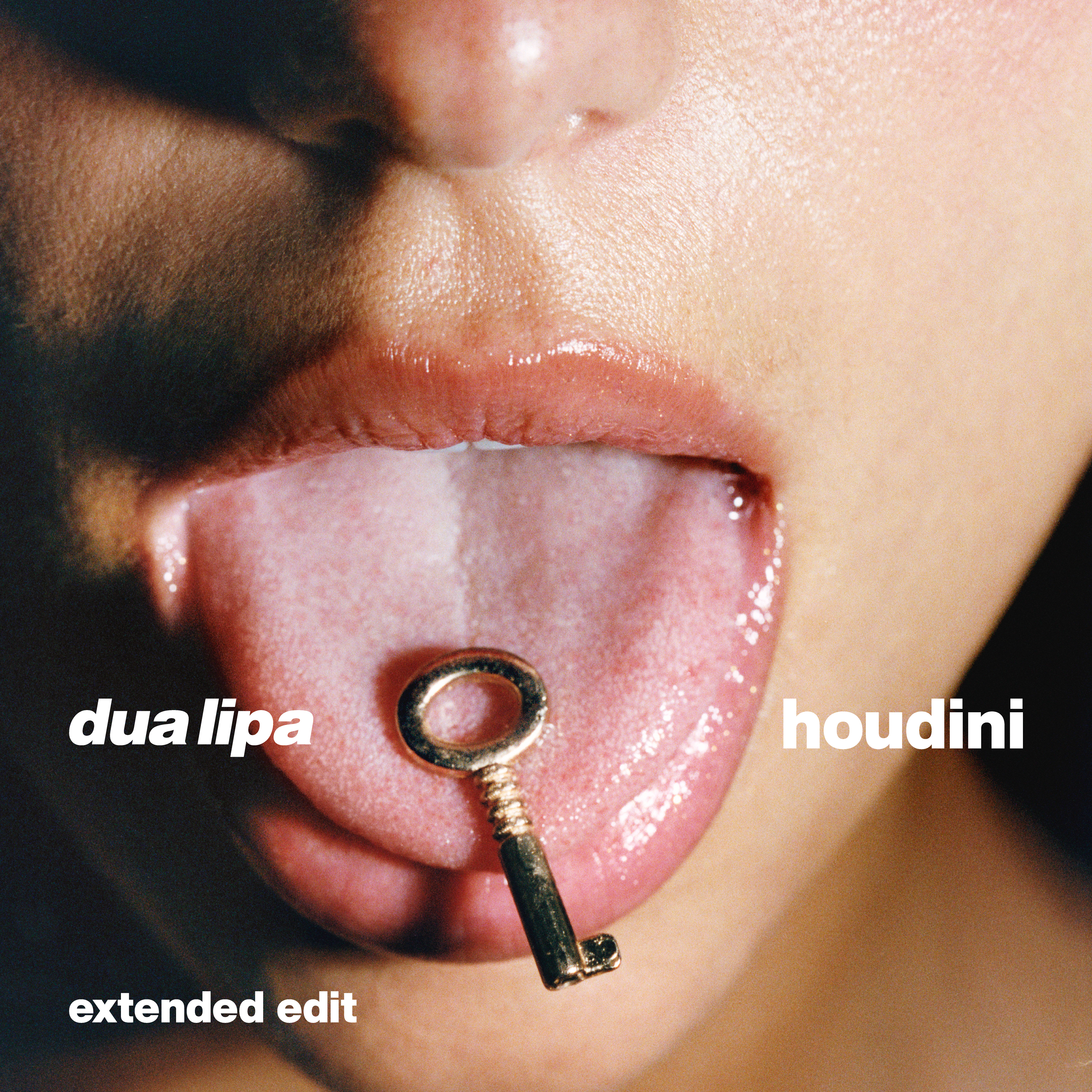 Dua Lipa — Houdini - Extended Edit cover artwork