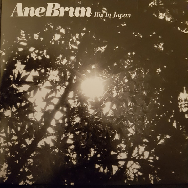 Ane Brun — Big in Japan cover artwork