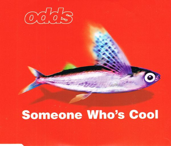 The Odds — Someone Who&#039;s Cool cover artwork