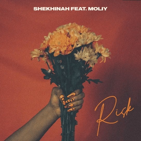 Shekhinah featuring Moliy — Risk cover artwork