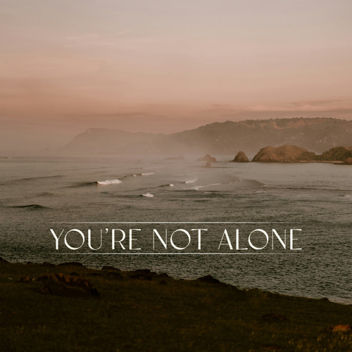 Punctual & RY X You&#039;re Not Alone cover artwork