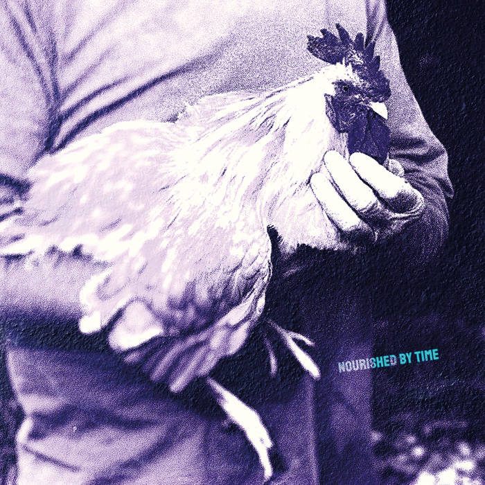 Nourished by Time Catching Chickens cover artwork