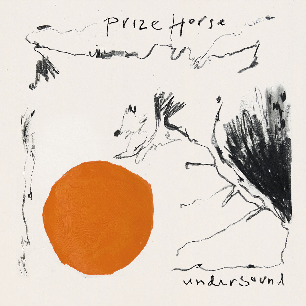 Prize Horse Under Sound cover artwork