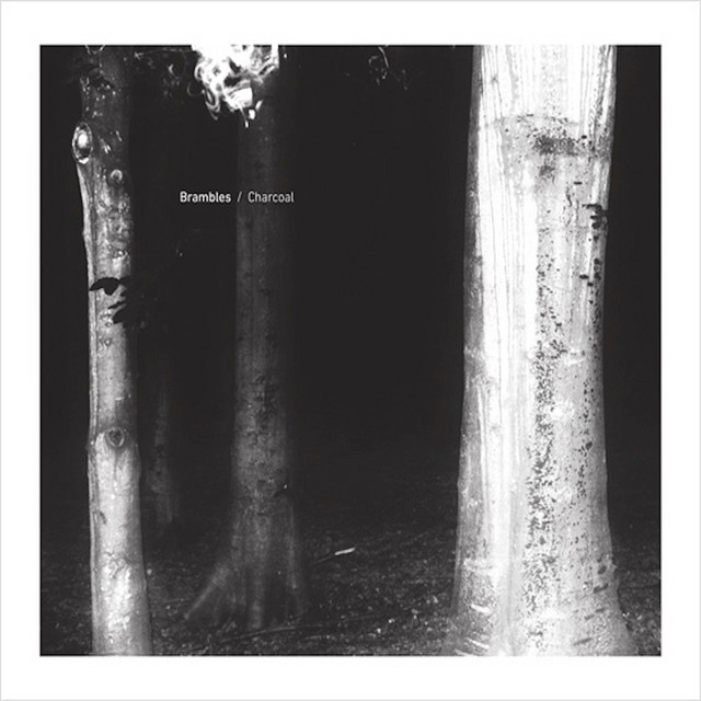 Brambles — In The Androgynous Dark cover artwork
