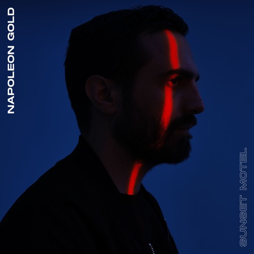Napoleon Gold featuring Haiva ru — Love Don&#039;t Cut Me Down cover artwork