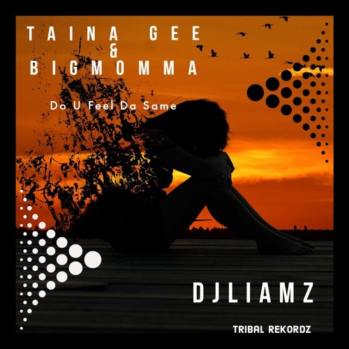 DjLiamz, Taina Gee, & Big Momma — Do U Feel da Same cover artwork
