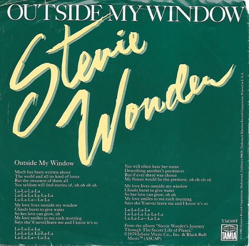 Stevie Wonder Outside My Window cover artwork