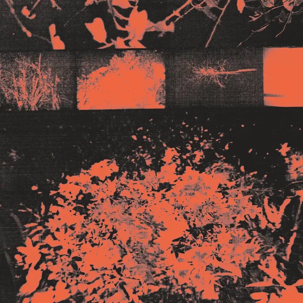 la loye — everything, everything cover artwork
