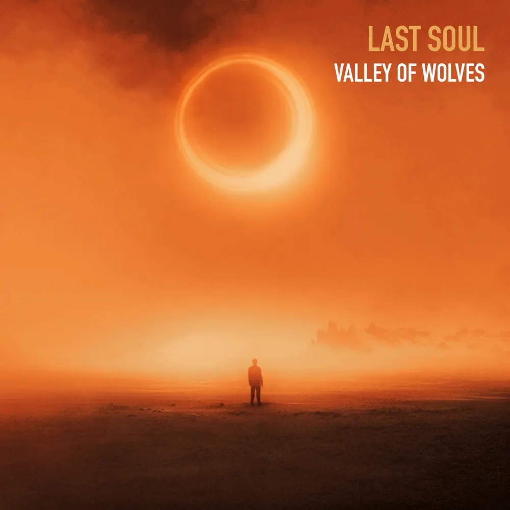 Valley Of Wolves — Last Soul cover artwork