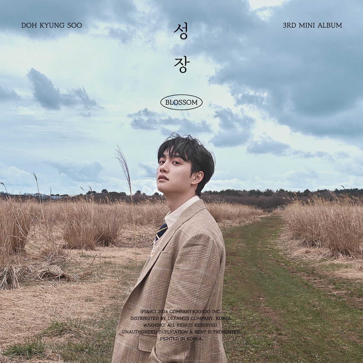 D.O. BLOSSOM cover artwork