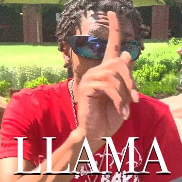 Lil Henjin — Llama cover artwork
