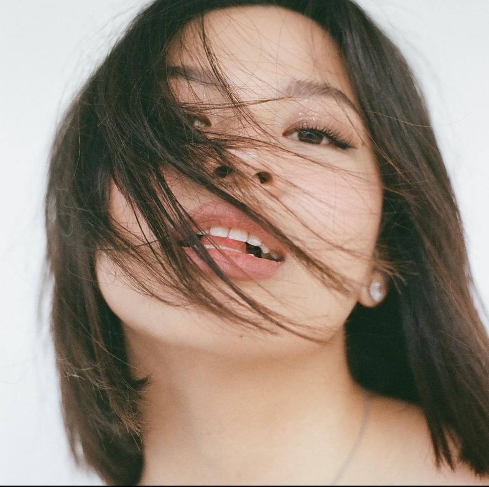 Janine — Hulaan cover artwork