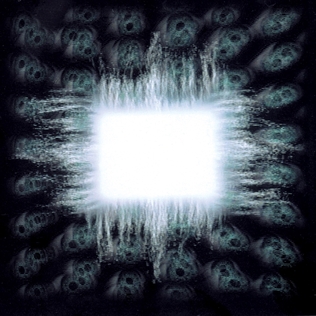 TOOL Aenima cover artwork