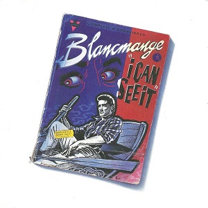 Blancmange — I Can See It (Why Don&#039;t They Leave Things Alone?) cover artwork