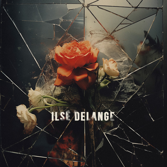 Ilse DeLange — Good to You cover artwork