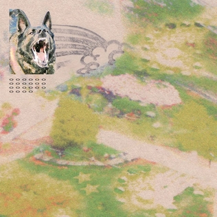 feeble little horse — Freak cover artwork