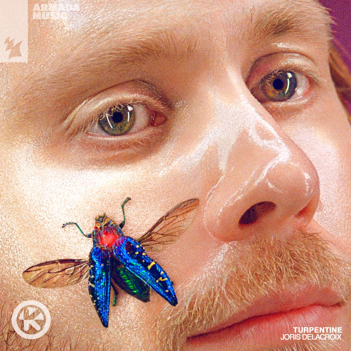 Joris Delacroix — Turpentine cover artwork