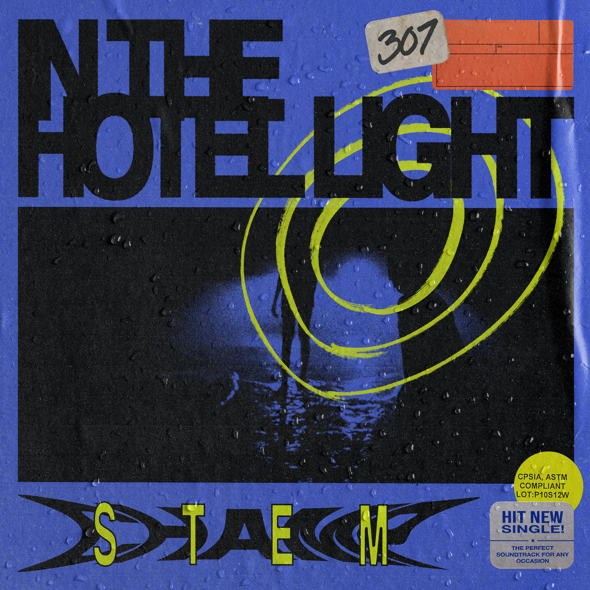 Stem Champ — In the Hotel Light cover artwork