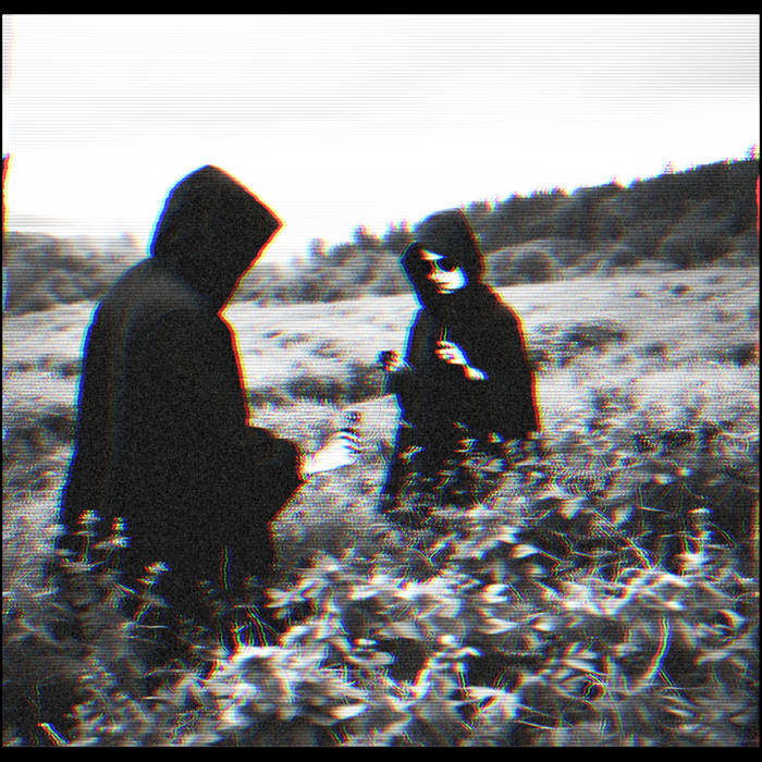 Cold Cave — Blackberries cover artwork