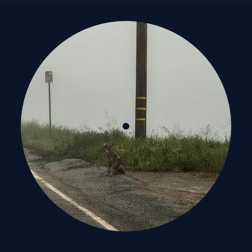 Dominic Fike — THICKRICK cover artwork