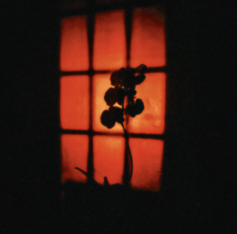 Night Swimming — Evergreen cover artwork