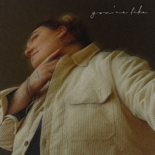 Jamie Fine — You&#039;re Like cover artwork