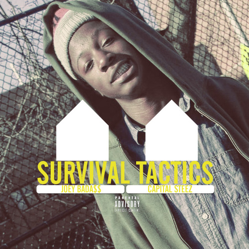 Joey Bada$$ featuring Capital STEEZ — Survival Tactics cover artwork
