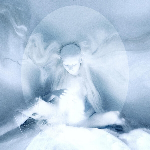 Salvia — Angel&#039;s Egg cover artwork