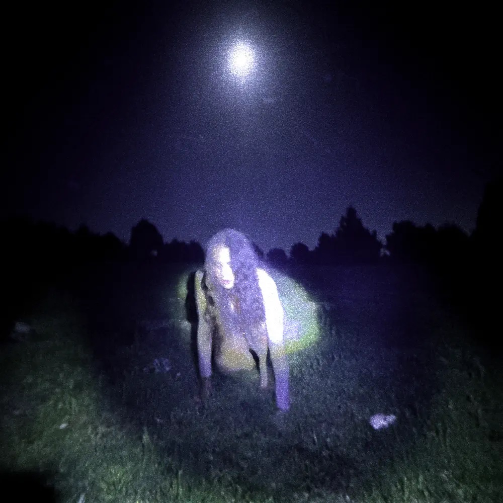 Ángeles Toledano — ARAORA cover artwork