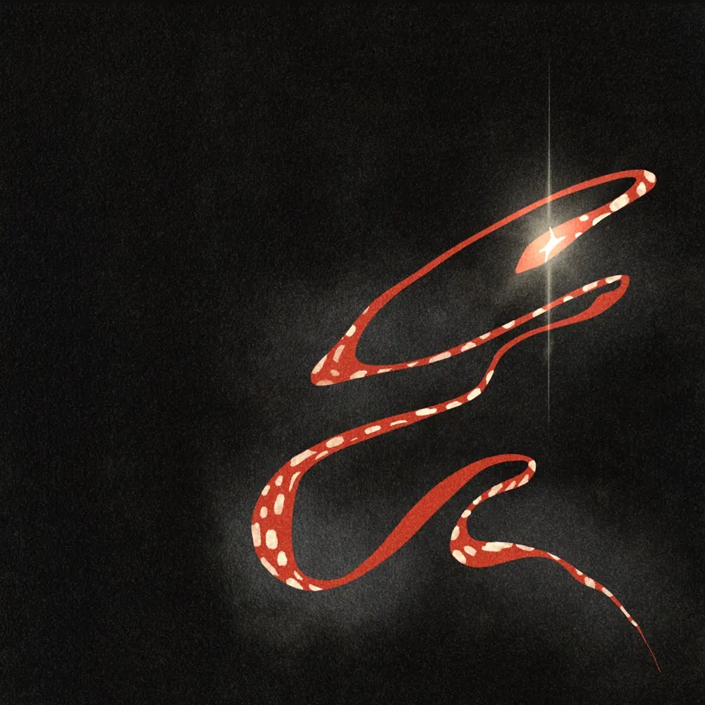 Maluridé — Kígyó cover artwork