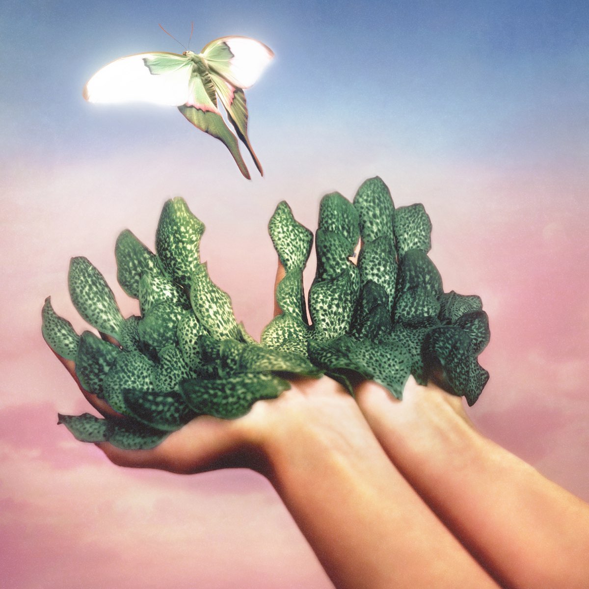 Raveena — Pluto cover artwork