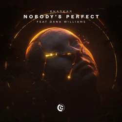 Bhaskar featuring Dana Williams — Nobody&#039;s Perfect cover artwork