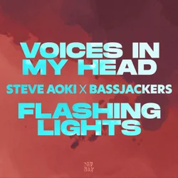 Steve Aoki featuring Bassjackers & teddy bee — Voices In My Head cover artwork