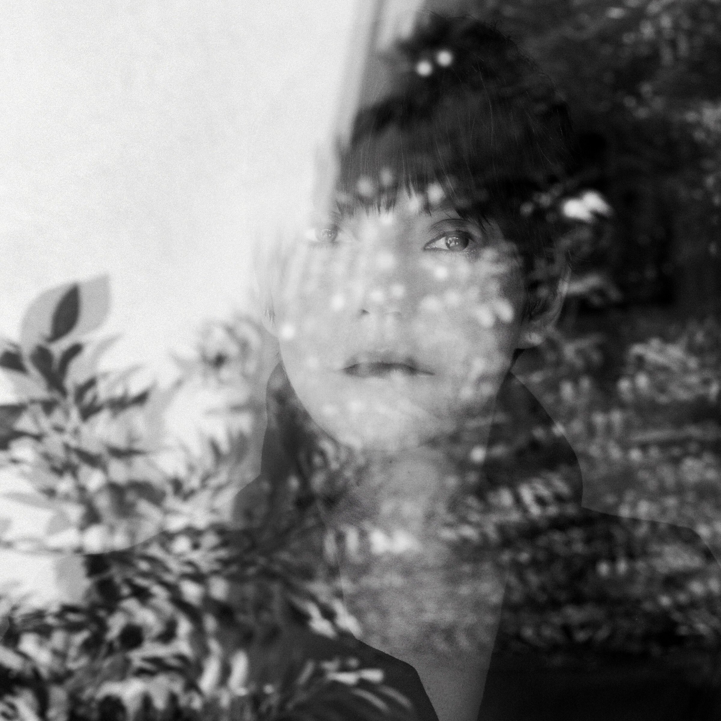 Sharon Van Etten — Used To It cover artwork