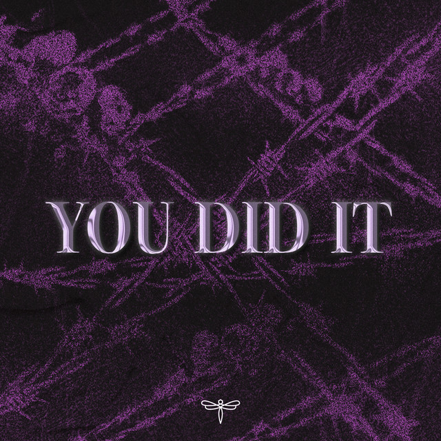 KAIA — YOU DID IT cover artwork