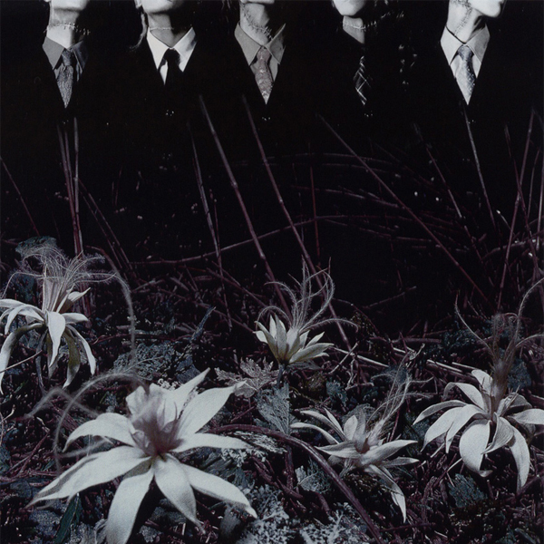 DIR EN GREY — Ain&#039;t Afraid to Die cover artwork