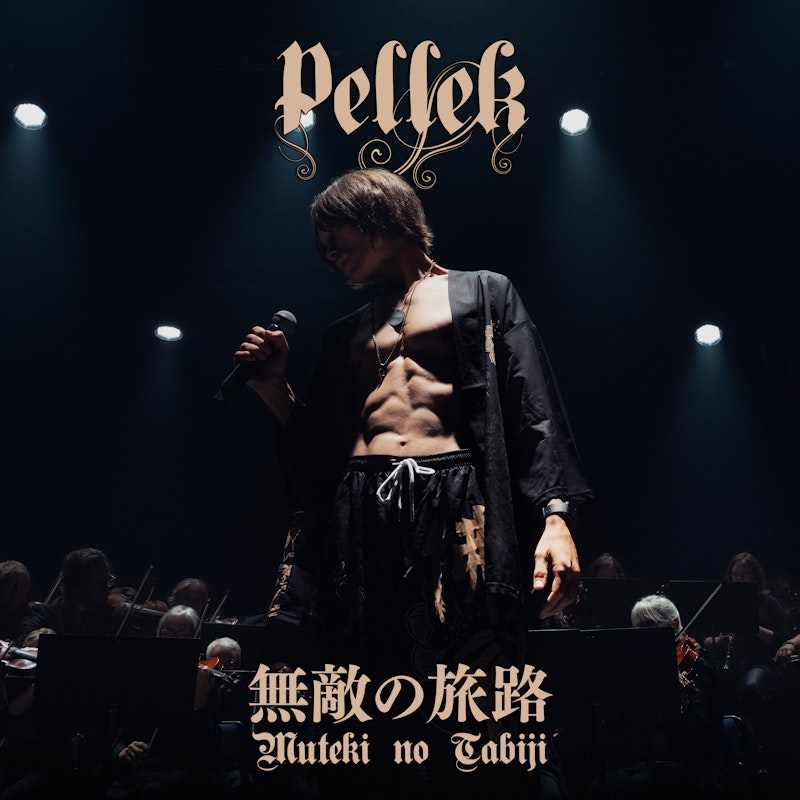 PelleK & Diana Garnet — Kegareta Michi e no Tatakai cover artwork