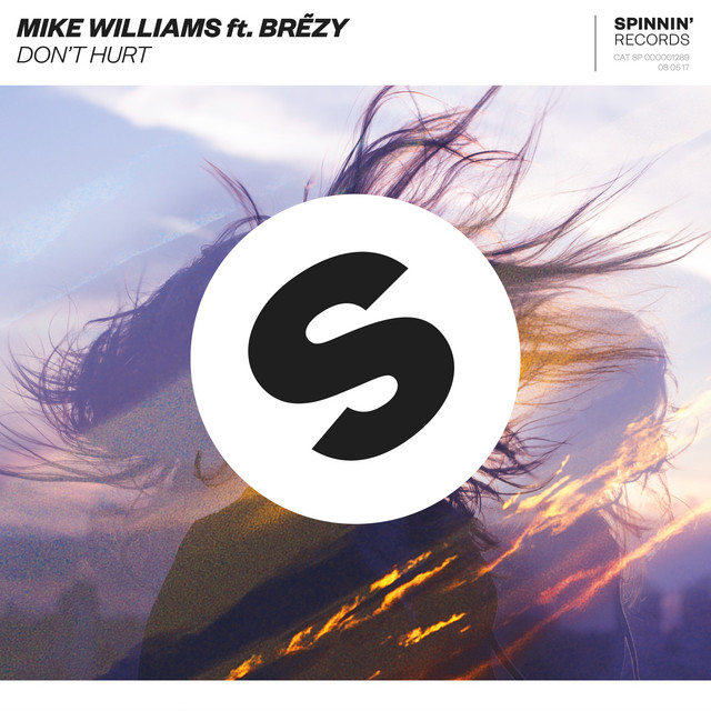 Mike Williams featuring Brezy — Don&#039;t Hurt cover artwork