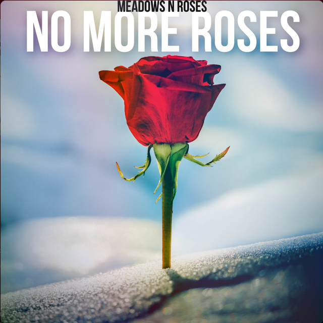 Meadows N Roses — No More Roses cover artwork