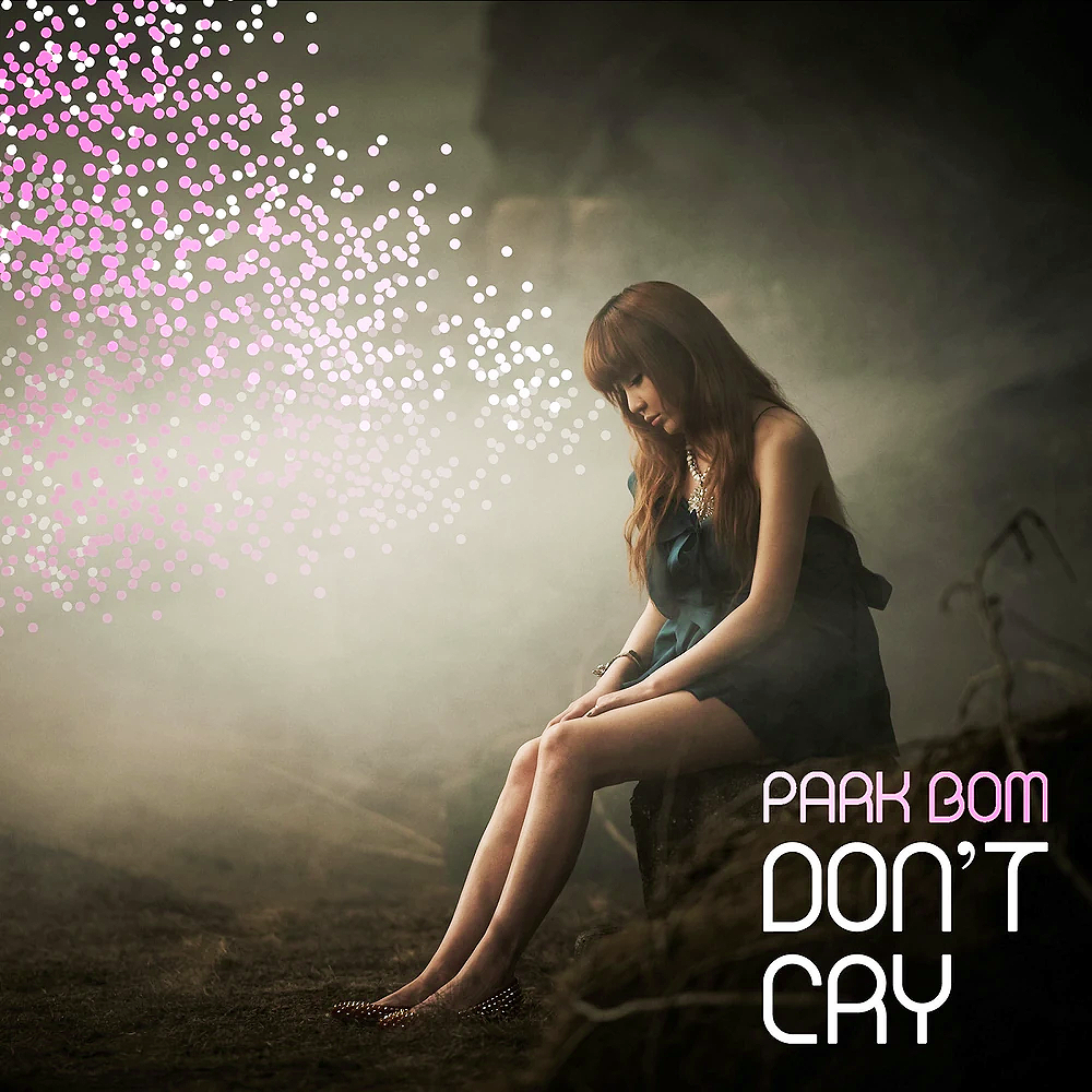 Park Bom — Don&#039;t Cry cover artwork