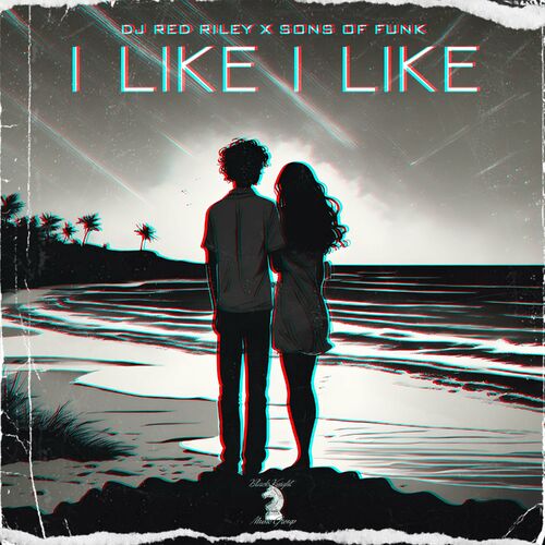 DJ Red Riley & Sons of Funk — I Like I Like cover artwork