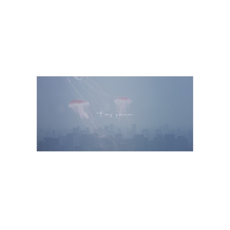 tiny yawn — Yawn cover artwork