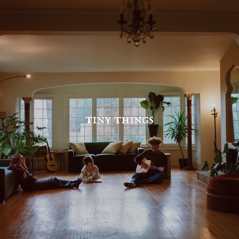 Tiny Habits — Tiny Things - EP cover artwork