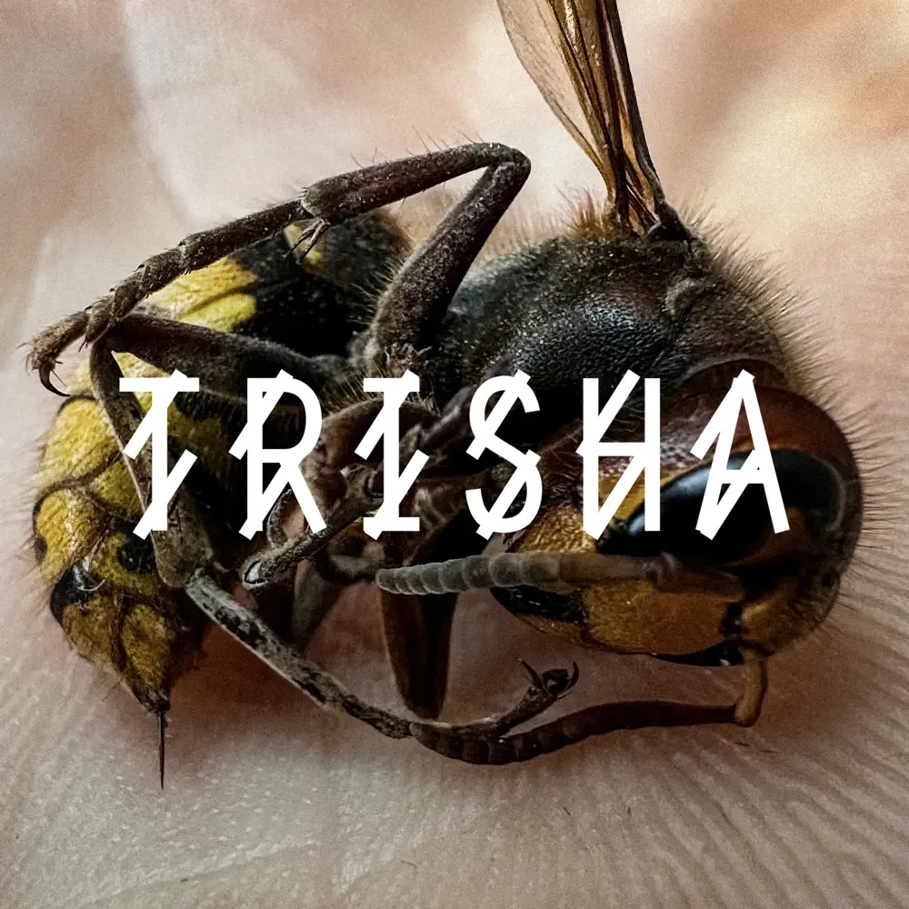 VTSS — TRISHA cover artwork