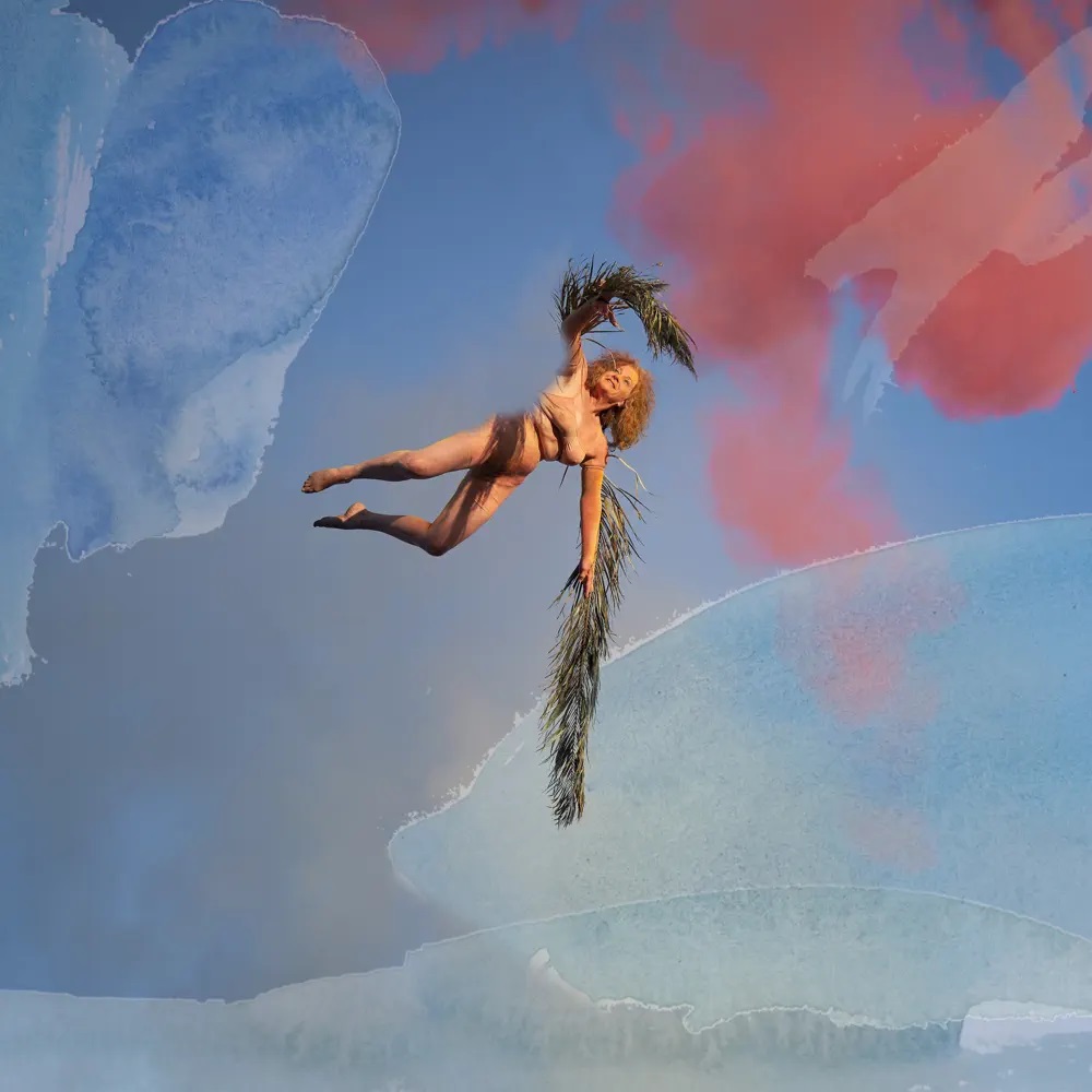 Tsar B & Laure Prouvost — Transbird cover artwork