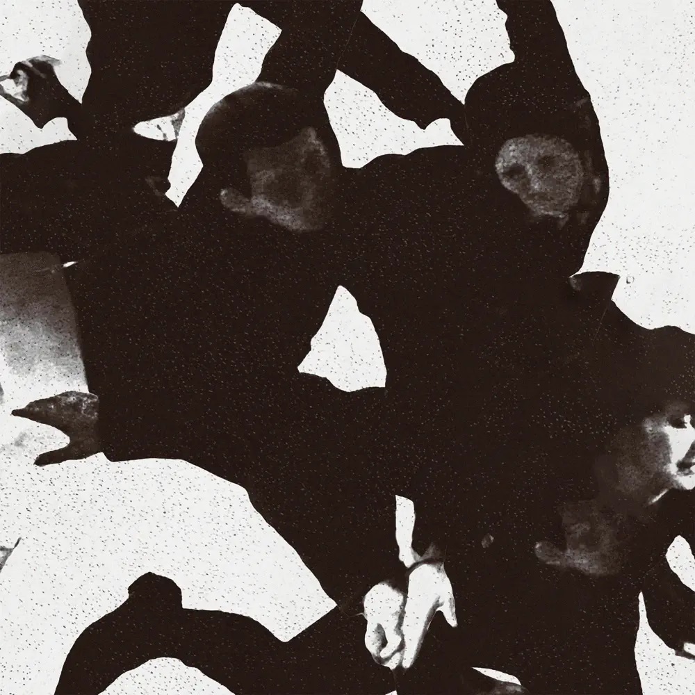 Dog Race — The Leader cover artwork
