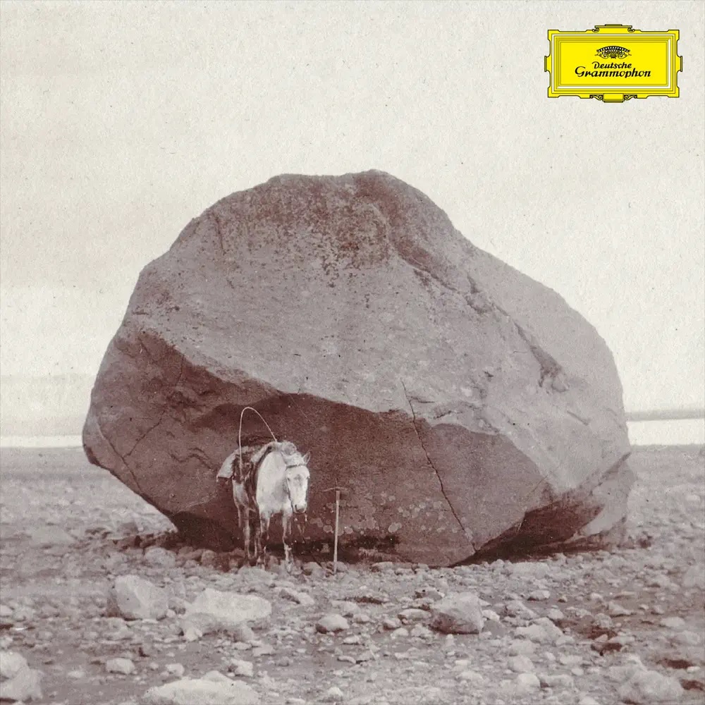Snorri Hallgrímsson — With Love, Despite the Pain cover artwork