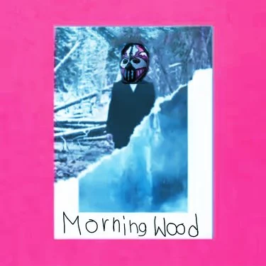 Lil Fucking Bitch — Morning Wood cover artwork